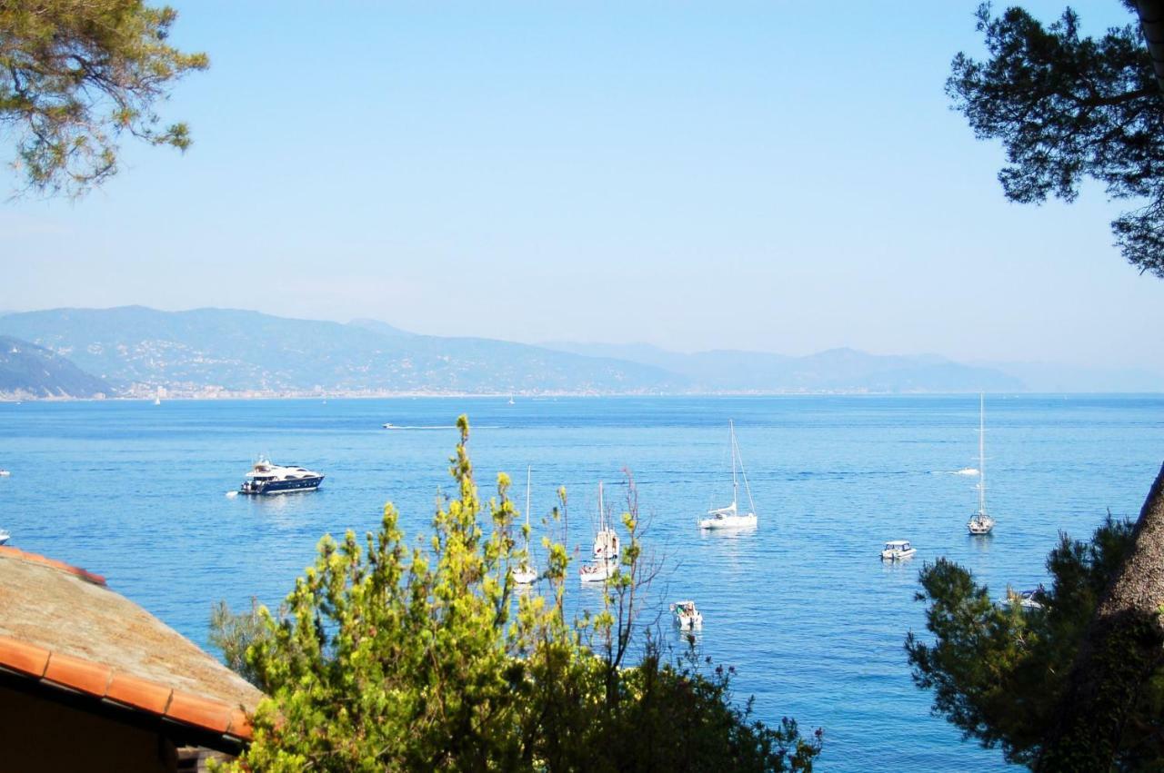 Portofino Seaview Apartment, 50 Meters From The Beach, Free Parking, Air Conditioning Paraggi Kültér fotó